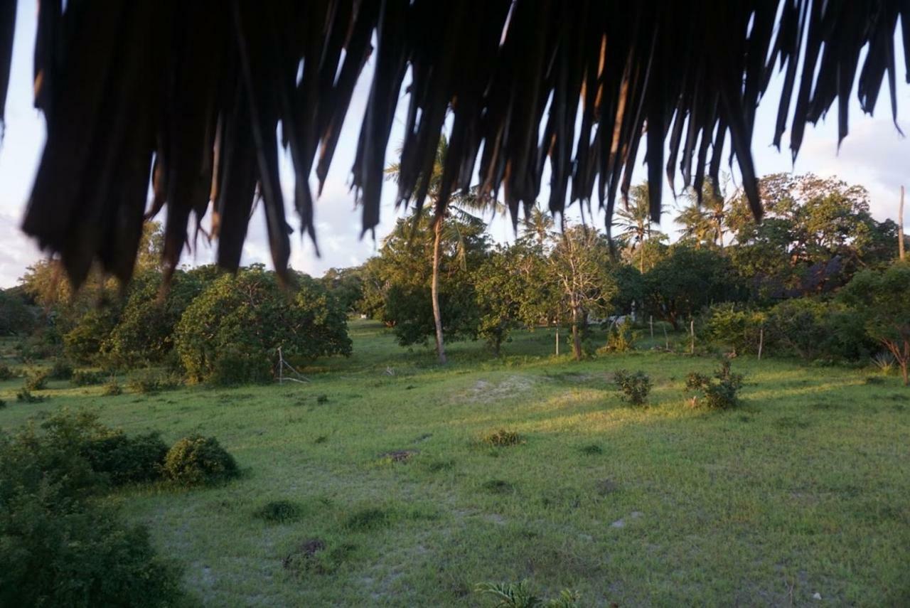 Mida Creek Nature Camp Ватаму Екстер'єр фото