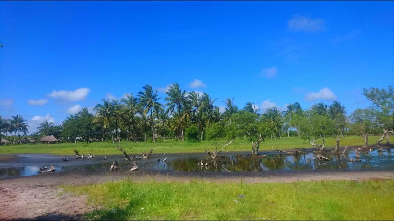 Mida Creek Nature Camp Ватаму Екстер'єр фото